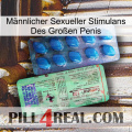 Männlicher Sexueller Stimulans Des Großen Penis new02